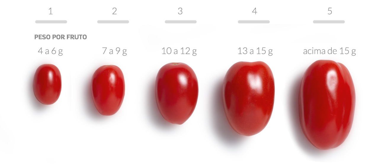 Classificação Grape